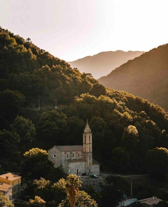 Casa Arena Authentique Maison De Village Avec Piscine Au Coeur De L'Alta Rocca - Zoza Exterior foto