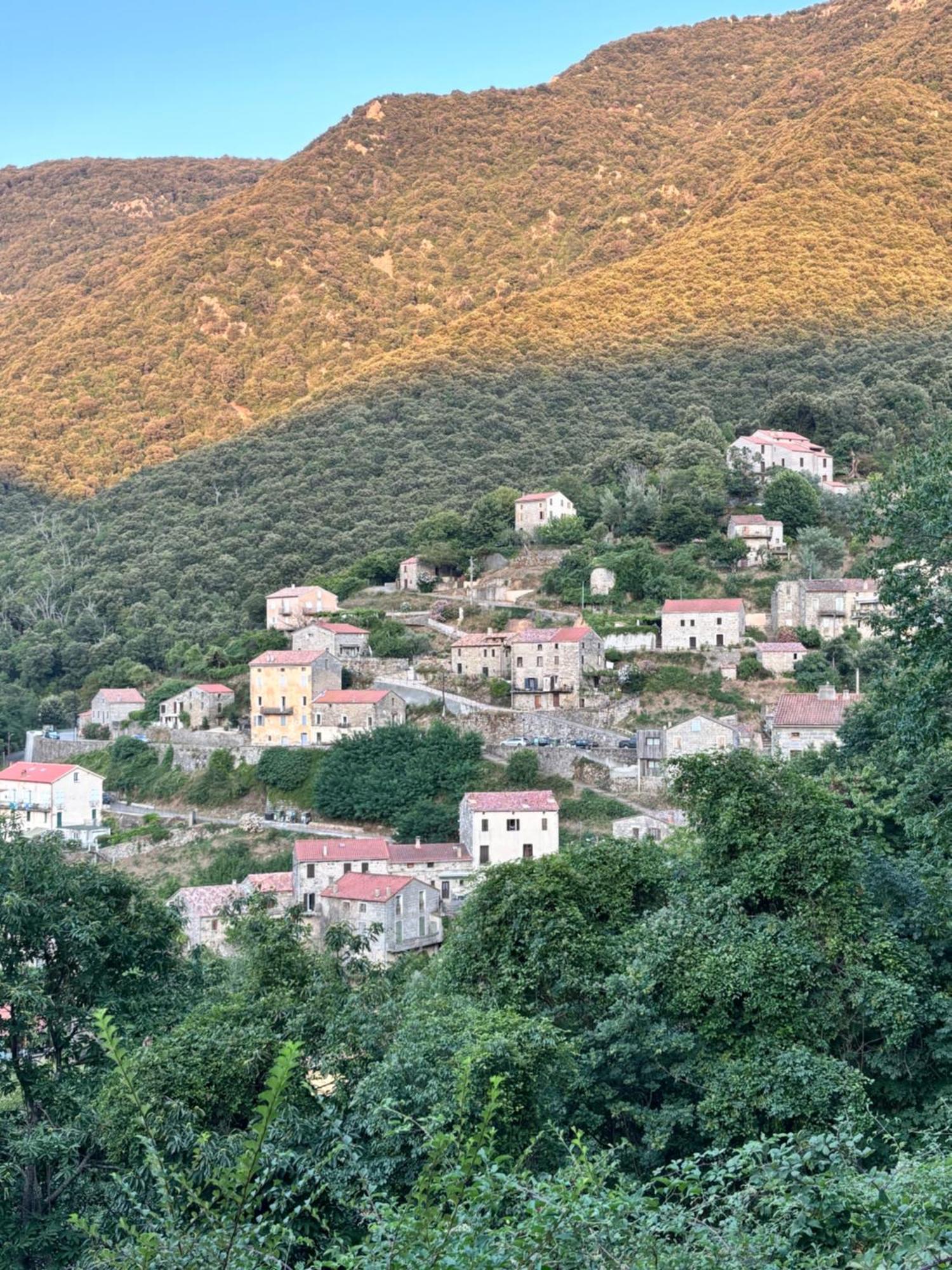 Casa Arena Authentique Maison De Village Avec Piscine Au Coeur De L'Alta Rocca - Zoza Exterior foto
